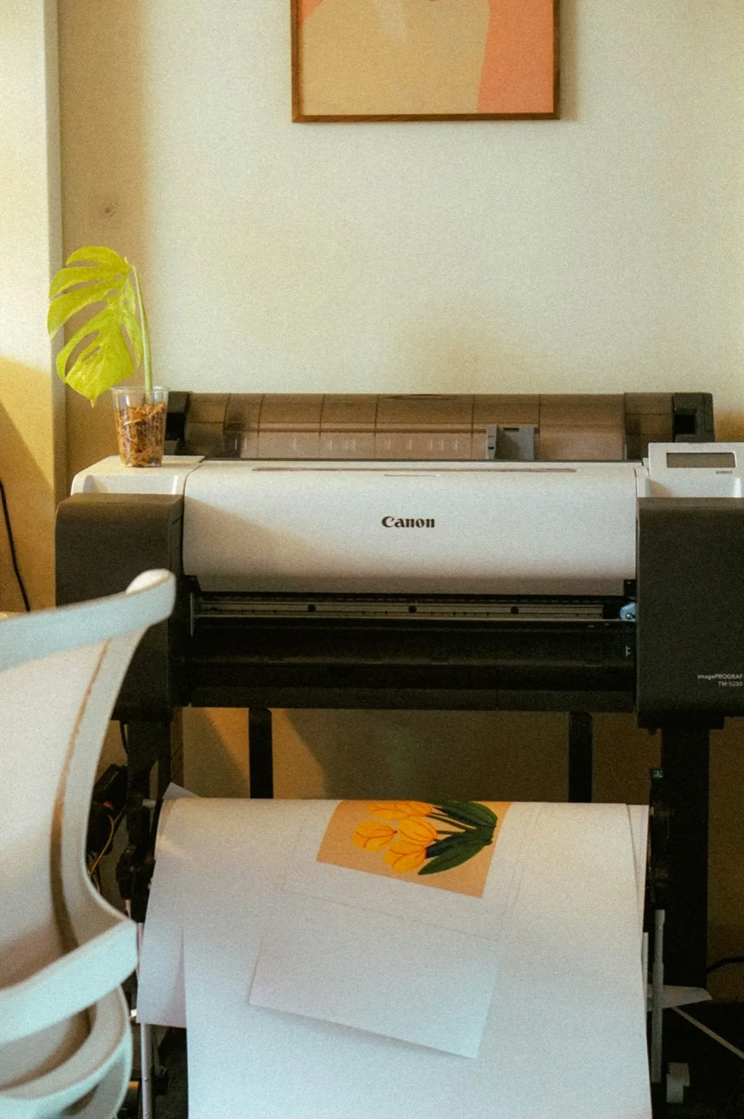 Eco-Solvent Printer